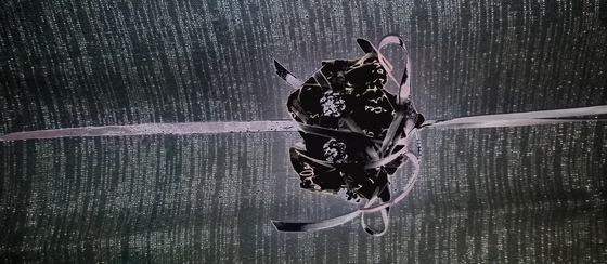 surprise-genevieve-negatif