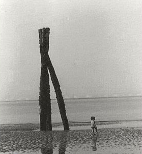 Duras-Marguerite-L-ete-80